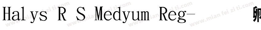 Halis R S Medium Reg字体转换